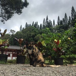 Meet your Posher, Mary